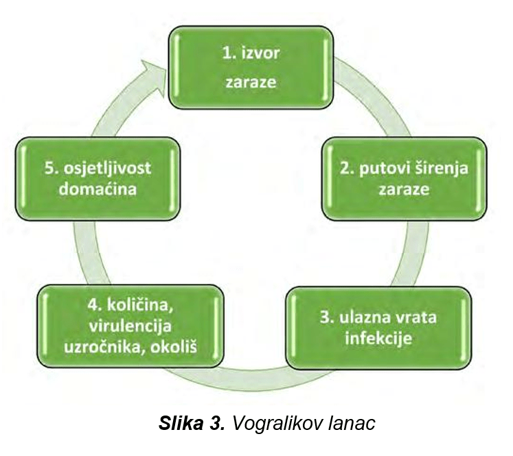 biosigurnost-sano-Vogralikov-lanac