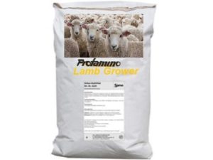 protamino-lamb-grower