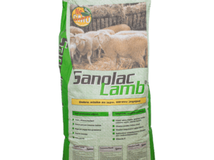 sanolac-lamb-25-kg-sano
